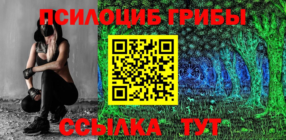 Галлюциногенные грибы Psilocybine cubensis Анапа