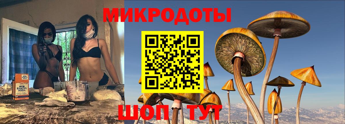 Анапа  Псилоцибиновые грибы прущие грибы  Вход с VPN 